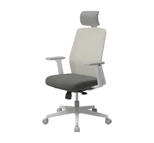 T40 SE Entry Level Ergonomic Chair (White Frame / Gray Seat)