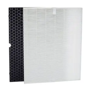 Winix Replacement Filter H for 5500-2