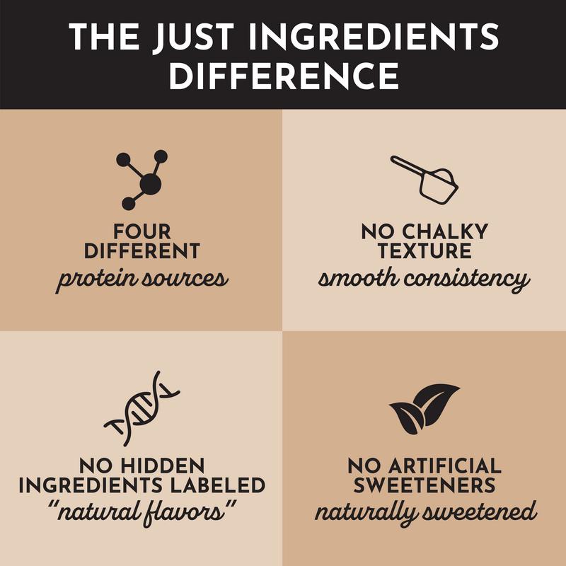 Just Ingredients Snickerdoodle VEGAN Protein Powder 20g Plant-Based Smooth Texture Dairy Free Workout & Fitness Supplement