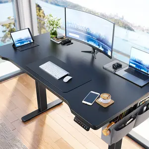 【Desktop Cable Organizer】Raybee 48''×24‘’ Electric Standing Desk with LED,Sit Stand Up Desk Adjustable Height 3 Memory Preset,Home Office Computer Desk with Side Pocket,Super Quiet Height Adjustment,Essential for Home Office