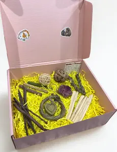 Wheeks & Treats Guinea Pig Box