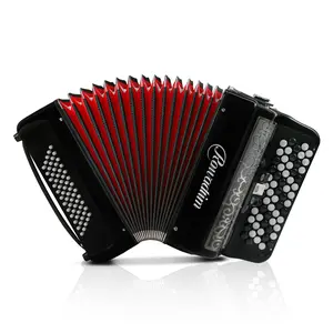 Accordion - 62 Key 60 Bass Professional Piano Model with Backpack & Strap | Lightweight, Portable Design for Beginners, Students & Adult Musicians