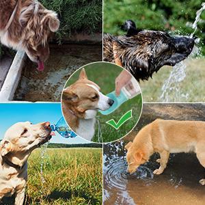 Dog Water Bottle, Leak Proof Portable Puppy Water Dispenser with Drinking Feeder for Pets Outdoor Walking, Hiking, Travel, Food Grade Plastic (19oz Blue)