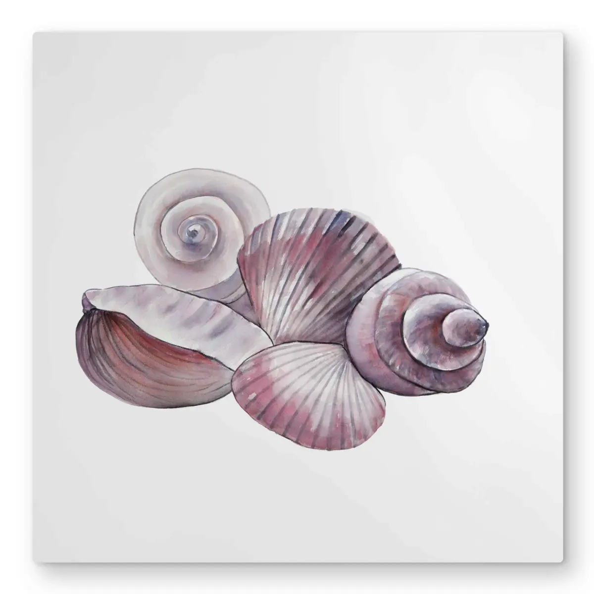 Begin Home Decor C1MP32322H9F9T 32 x 32 in. Seaside Shells - Pink Beach Metal Print Wall Art for Home Decor
