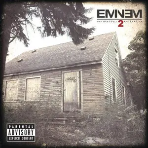 Marshall Mathers Lp2 - Eminem - Record Album, Vinyl LP