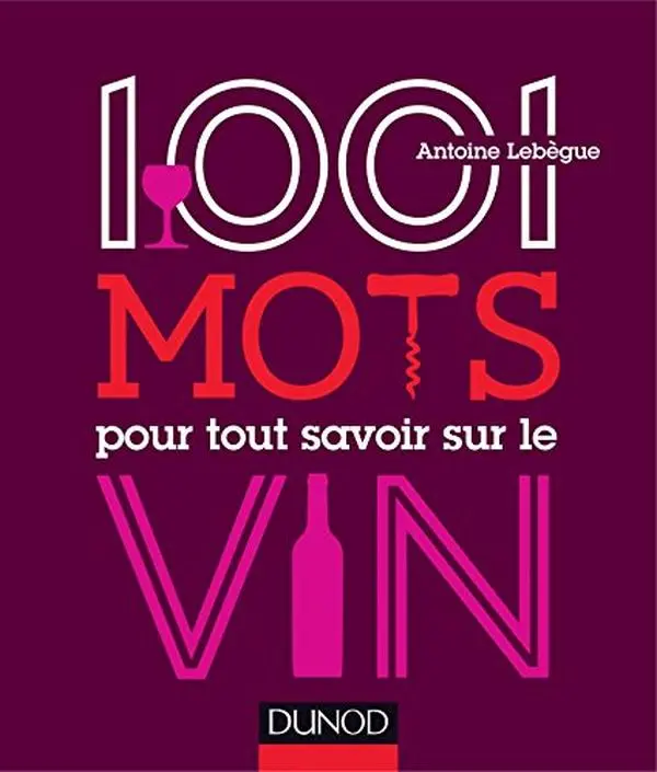 USED-1001 mots pour tout savoir sur le vin (Hors collection) by Lebegue (Paperback)