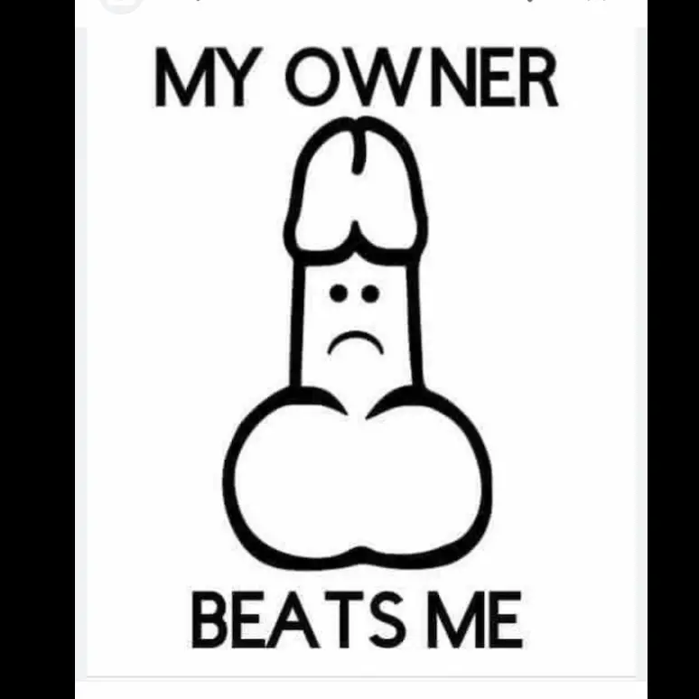 Funny car sticker. Adult vinyl window decal