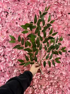 20 Inch Green Wisteria Leaf