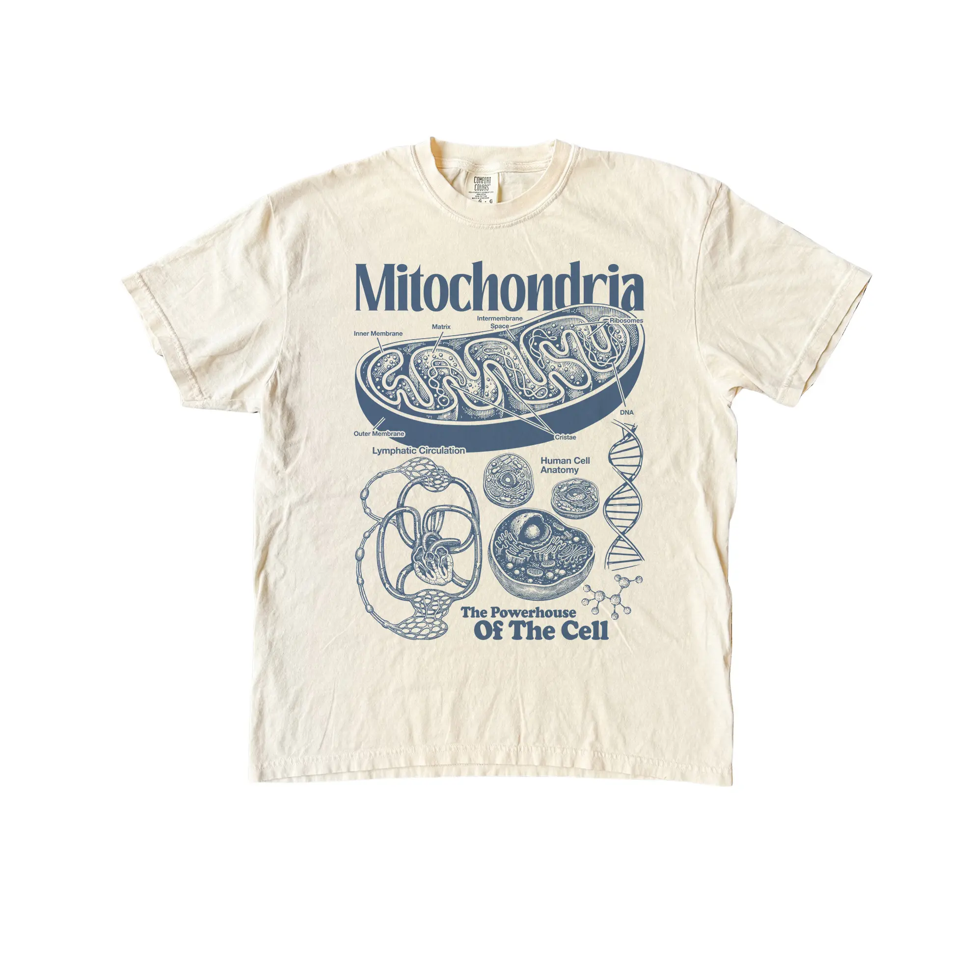 Mitochondria Vintage Science Comfort Colors T-Shirt, Retro Biology Graphic Tee, STEM Learning Gift