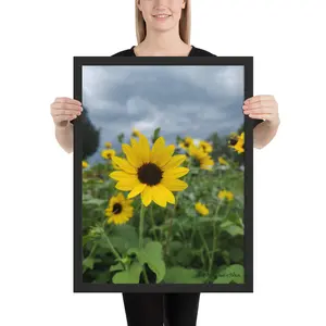 Suncredible Before the Storm Framed poster
