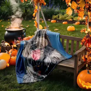 1 piece Schnauzer Volker Cute Photoshoot themed flannel blanket - Modern-style all-season flannel blanket, suitable for sofas and beds, super soft and comfortable, digitally printed pattern, 100% polyester material, machine washable, suitable for