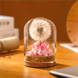 Glass Dome Eternal Dandelion Ornament, Transparent Dustproof Flower Arrangement, Home Office Desktop Decoration