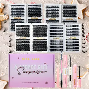 Curling Wispy False Eyelash with Lash Glue & Remover & Tweezers & Brush, 1 Set Natural Self Grafting Eyelashes Extensions Kit, Eye Makeup Products for Women, Cosmetic, Cluster Lashes Kit, Diy Lash Clusters