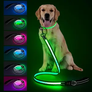 Pet LED Light-Up Leash 1.83m Rechargeable Dog Walking Lead for Nighttime Walks, Nylon Material, Suitable for Dogs & Cats, Ca Prop 65 Compliant