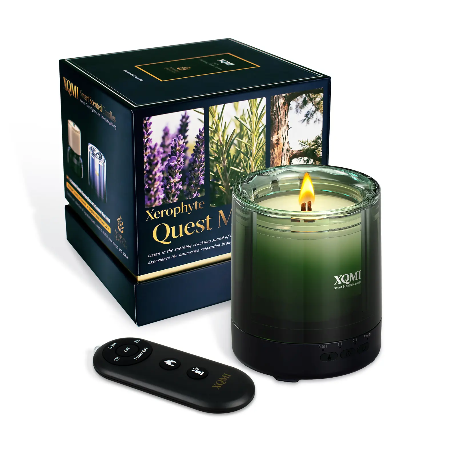 Dark Green - Amber - Sandalwood - Pine