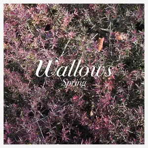 Spring - Wallows - Record Album, Vinyl LP