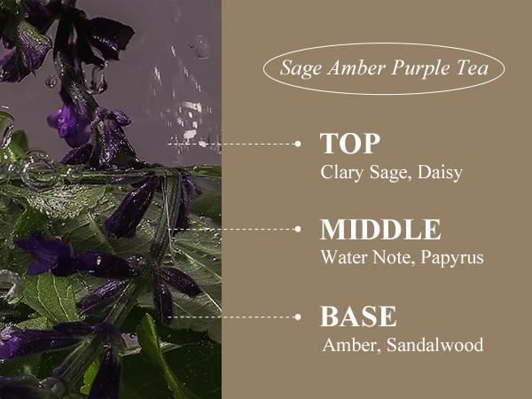 [TEABLESS Official Shop] Sage Amber Purple Tea Perfumed Body Lotion 16.93 oz / 480g , Daily Moisturizer, Body Lotion For Dry Skin & Sensitive Skin, Non-Greasy, Slow Aging, Floral Woody Scent, Korean Skin Care