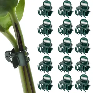 50-Piece plastic gardening clips, dark green vine support bundles, plant clips, Phalaenopsis grafted orchid stem clips, gardening tools