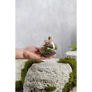 Mini Galaxy Terrarium