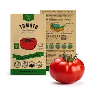Red Beefsteak Tomato Seeds Pack 0.5G