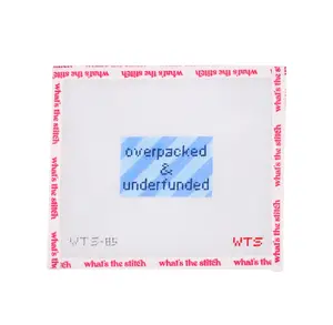 Overpacked and Underfunded Needlepoint Canvas | 18 Mesh