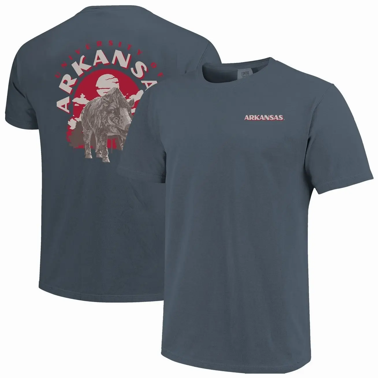Arkansas Razorbacks Comfort Colors Team Statue T-Shirt - Navy