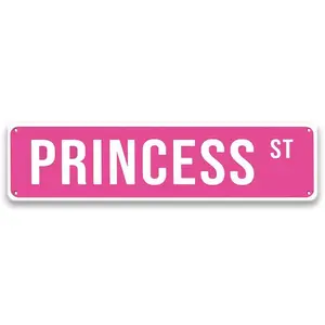 Princess Street Sign, Yard Sign, 1 Count Creative Colorful Wall Decal, Wall Art Sticker for Entryway, Porch, Living Room, Bedroom, Office