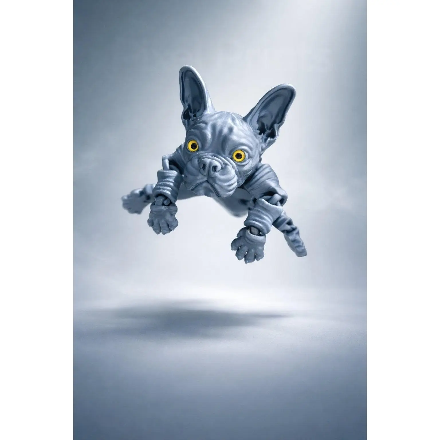 French Bulldog