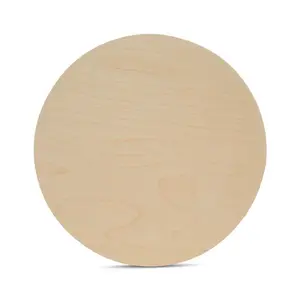 15 Inch Birch Round Half Inch Thick Bundle x8 for DIY Seasonal Door Signs