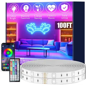 100FT Outdoor LED Strip Lights, IP68 RGB LED Lights with Remote and APP Control, Outdoor Strip Lights for Pool, Balcony, Roof, Garden, Stairs (1 Roll)