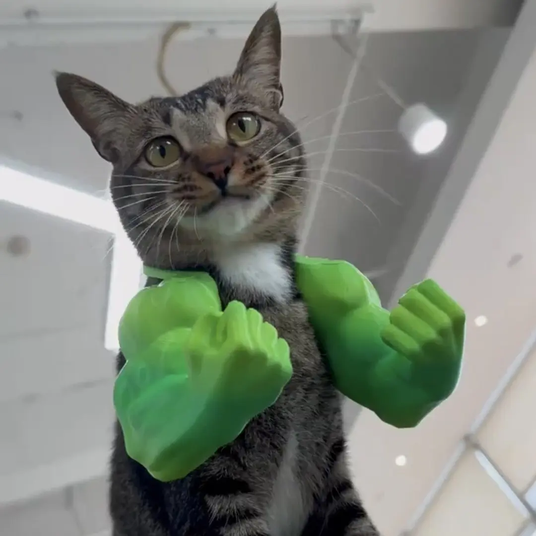 3D Printed Prank Pet Prop Hanging Neck Hulk Arm