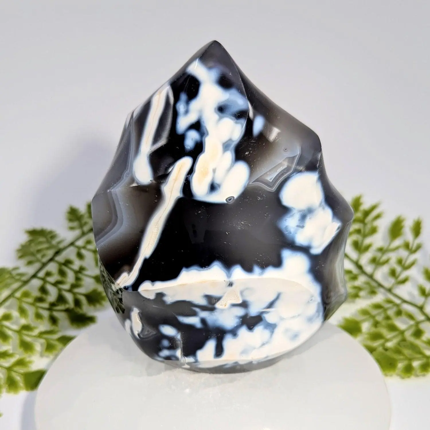 Orca Agate 5 inch Flame Freeform Stone