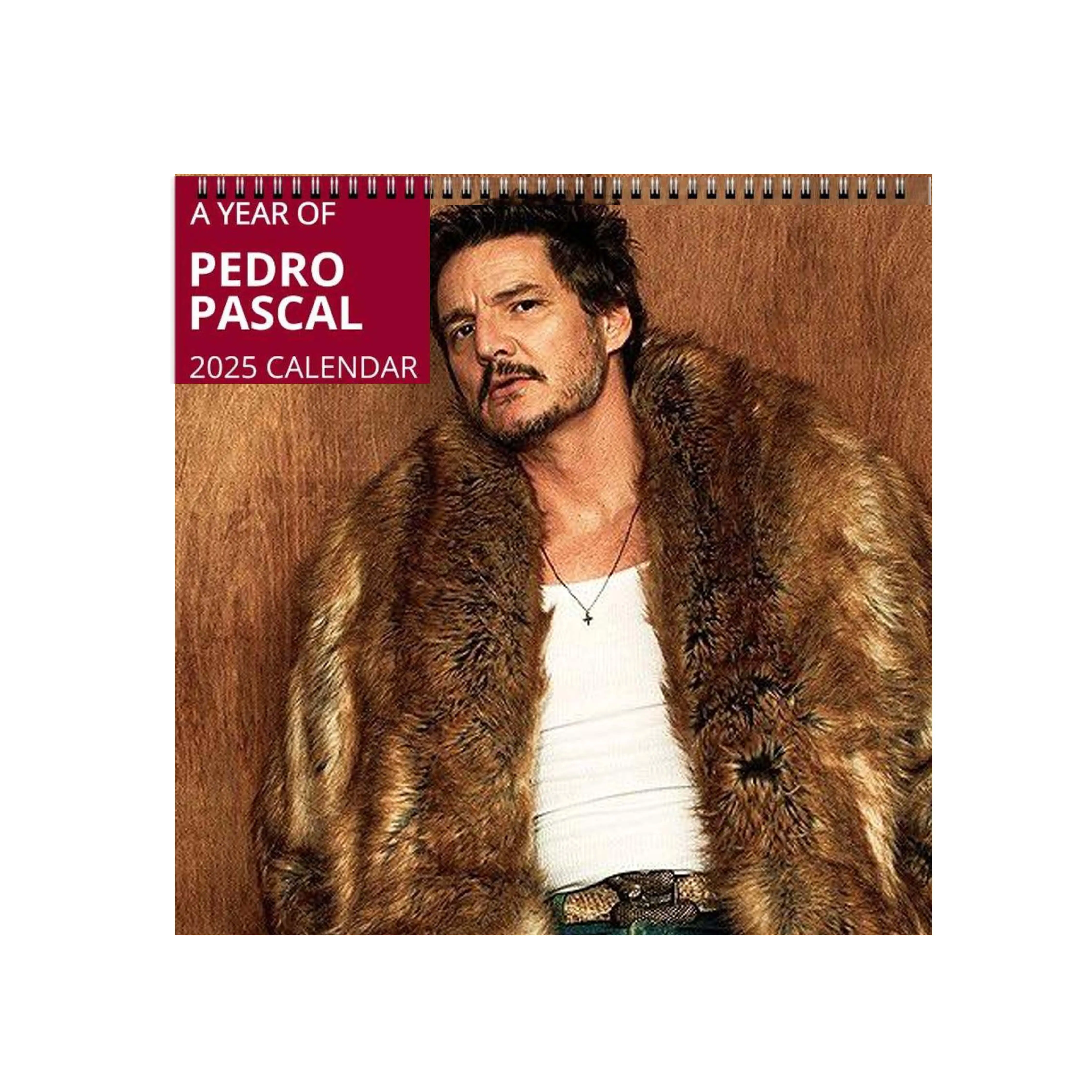 Pedro Pascal 2025 Wall Calendar Planner, Unique Holiday Gift, Fan Gift, Gift For Her, Pedro Pascal Celebrity Merchandise, Celebrity Crush Merch