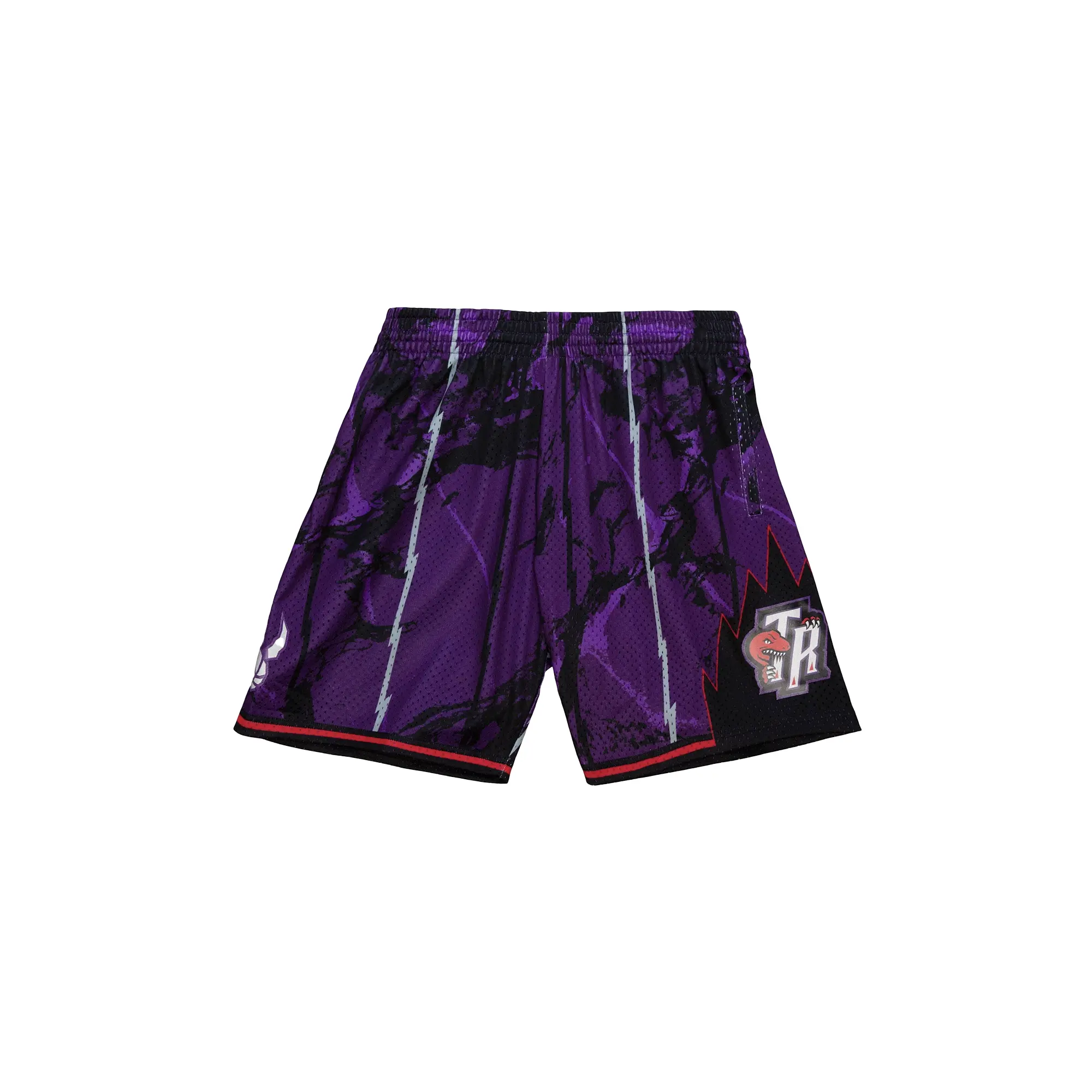 Team Marble Swingman Shorts "NBA Toronto Raptors 1998" PFSW1279 TRA98PPPPURP