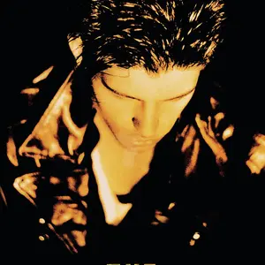 The Outsiders by S. E. Hinton - paperback