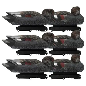 Final Approach Live Gadwall Floater Duck Decoys, 6 Pack