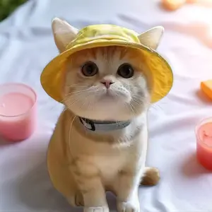 Cute Pet Sun Hat with Ear Holes - Adjustable Summer Bucket Hat for Cats & Small Dogs, UV Protection Cap for Sphynx, Chihuahua, Yorkshire