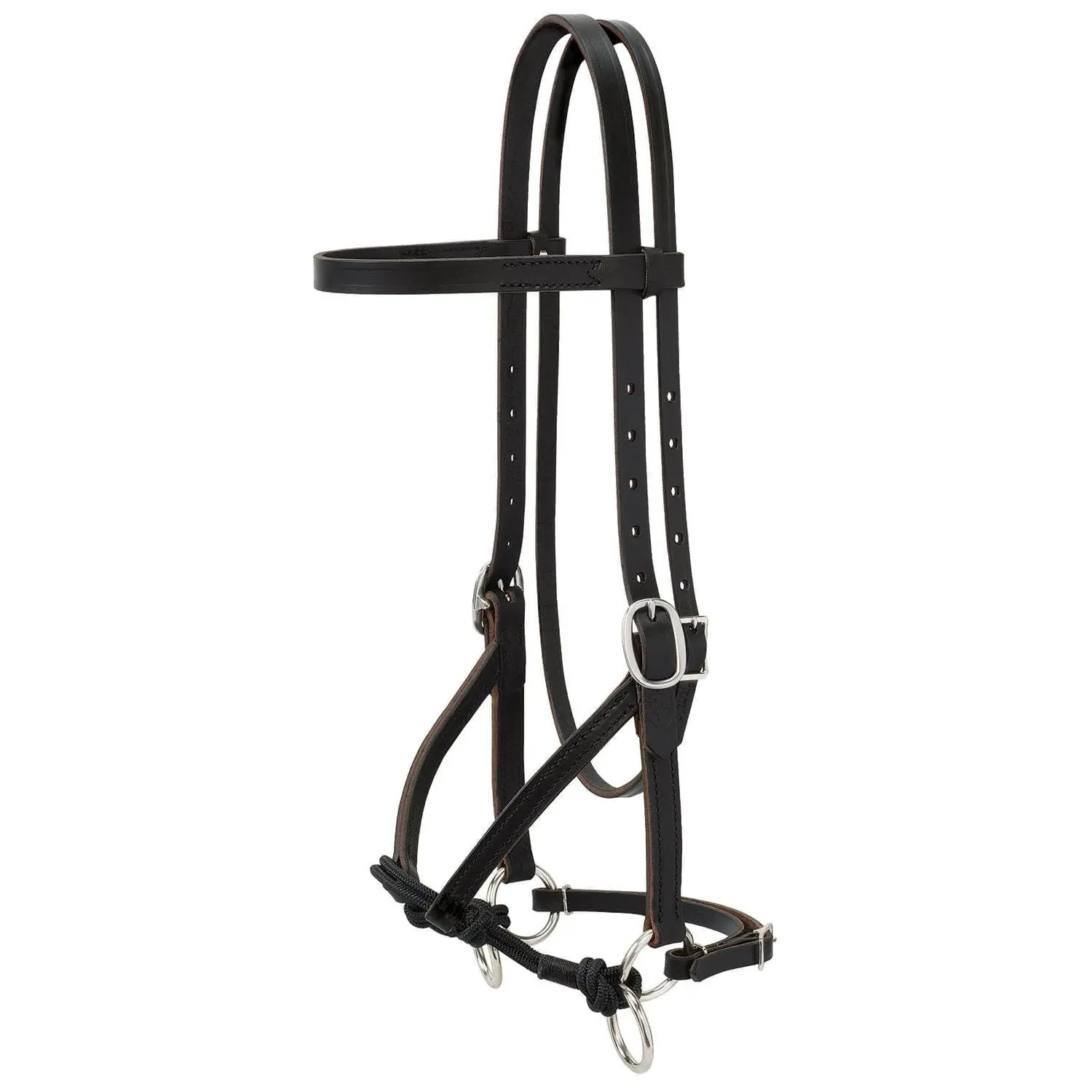 Justin Dunn Bitless Bridle