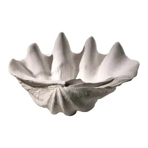 Clam Shell Sculpture White