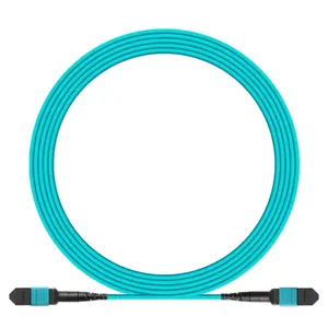 Manufacturing LC OM3/OM4 8/12/24f G657A1 MPO/MTP Fiber Optic Patch Cord 1M