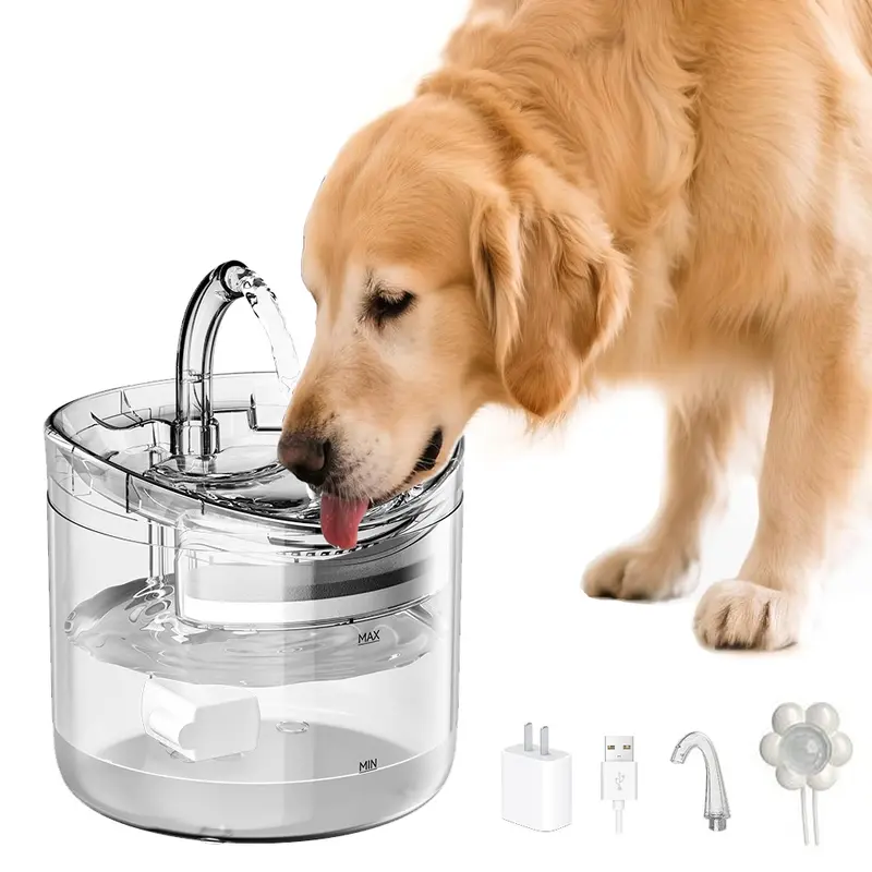 dogs drinking water too fast - TikTok Shop