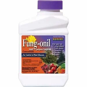 Bonide BND880 Liquid Fungonil Concentrate with Daconil, Garden Specialty Tool for Shade and Fruit Trees, Controls Numerous Diseases