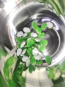 haribo frogs gummy candy naturally and artifically flavorers Snack Bonbon