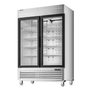 Coolski 54 in. 47.5 cu. ft. Auto / Cycle Defrost 2-Glass Door Commercial Reach In Display Upright Freezer in Stainless Steel