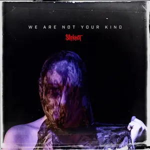 We Are Not Your Kind - Slipknot - Record Album, Vinyl LP