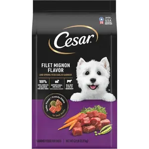 Cesar Small Breed Dry Dog Food for Small Dogs, Filet Mignon Flavor and Spring Vegetables Garnish, 5 lb Bag