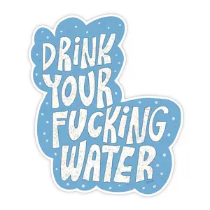 drink your fucking water sticker