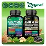 Dynamic Vitality Bundle - Zoyava Sea Moss & Shilajit Supplements - All-in-One Multivitamin Combo with Extra Strength Ingredients - MADE IN USA
