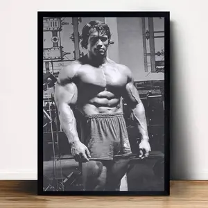 Arnold Schwarzenegger Bodybuilding Poster  Wall Art Home Decor (No Frame)