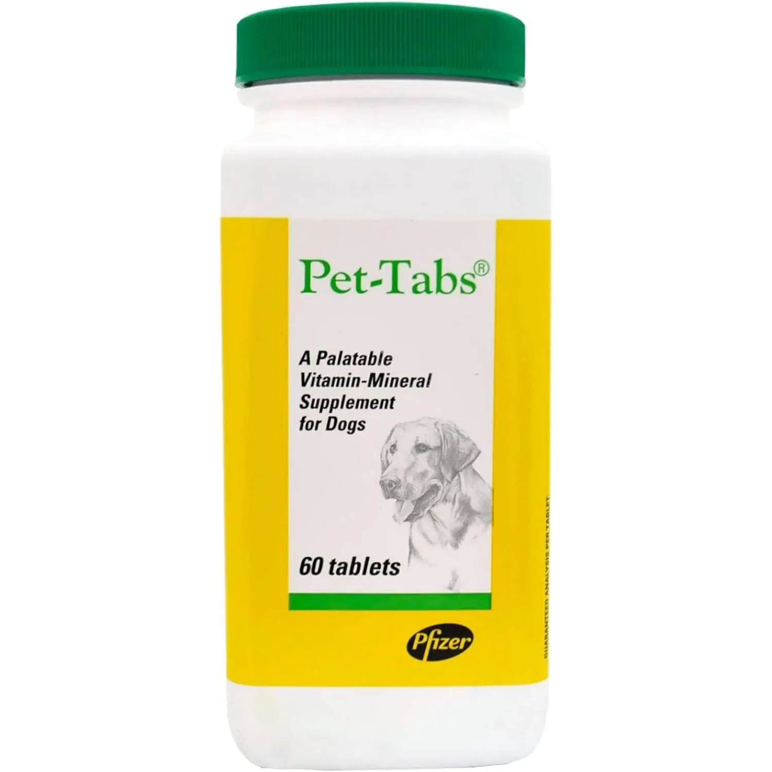 Ultivitamin Dog Multivitamin Chewables, 60 Count – 17 Essential Vitamins & Minerals for Adult Dogs & Puppies, Supports Everyday Wellness, Growth, Nutritional Gaps, Healthy Skin & Coat